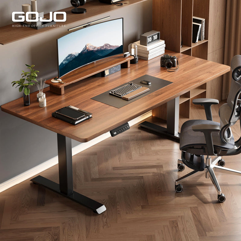 Dual Motor Adjustable Height Standing Desk